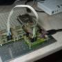 pic18f4550_mlab_programming.jpg