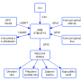 schema_arm.png